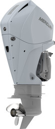Mercury F 225 L / XL CF DS